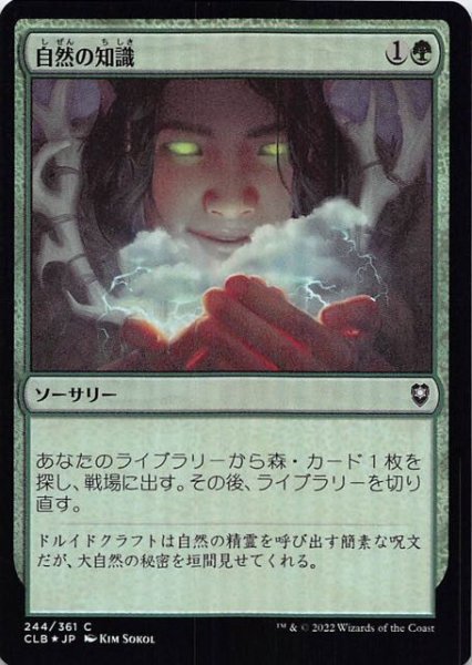 画像1: 【FOIL 統率者レジェンズ：バルダーズ・ゲートの戦い コモン】自然の知識　244/361 (1)