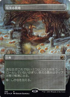 イニストラード：真夜中の狩り(FOIL)コレクター・ブースター - マナソース