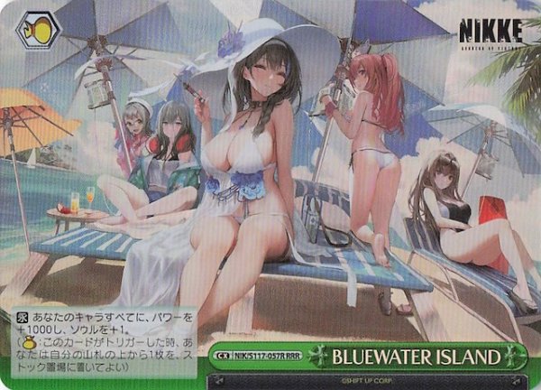 画像1: 【RRR】BLUEWATER ISLAND　NIK/S117-057R (1)